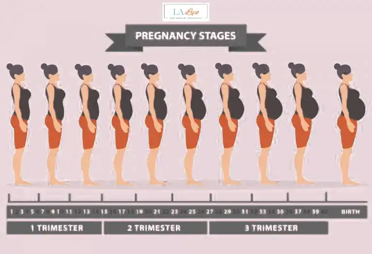 First Trimester (Weeks 1–12): Early Changes You Might Not Notice ENGLAND